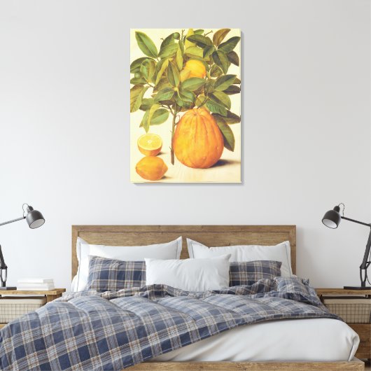 citroen en pomelo botanische schilderij canvas afdruk (Insitu (Slaapkamer))