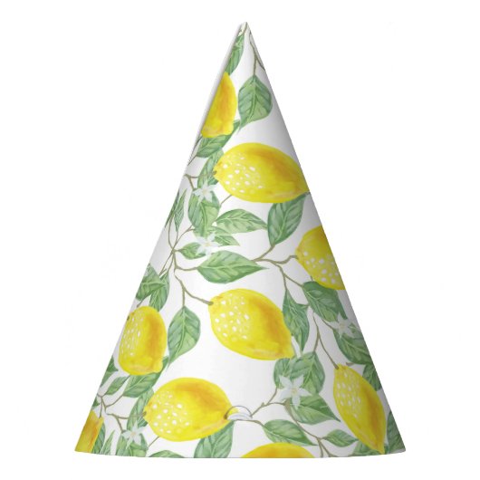 Citroen Feesthoedjes (Links)