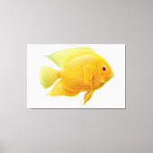 Citroen Goud Severum Cichlid Vis Verpakt Canvas (Voorkant)
