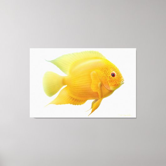 Citroen Goud Severum Cichlid Vis Verpakt Canvas Afdruk (Voorkant)