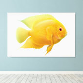 Citroen Goud Severum Cichlid Vis Verpakt Canvas Afdruk (Insitu (Houten vloer))