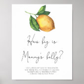 Citroen Hoe groot is mama's buik spel Poster (Voorkant)