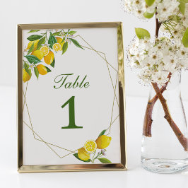 Citroen Hoofdknijplijst Aantal Kaart