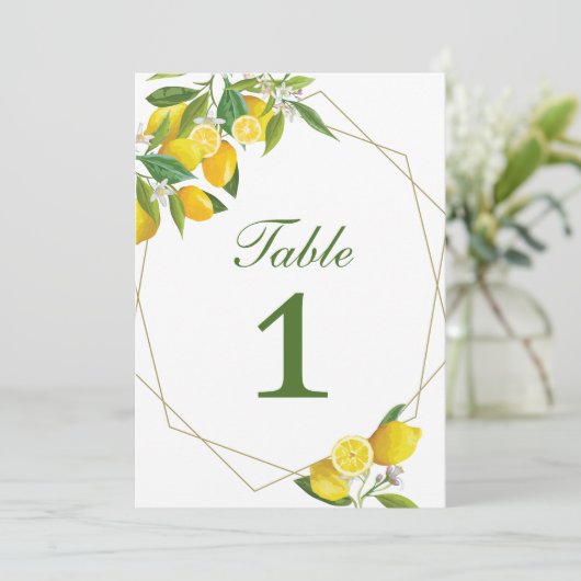 Citroen Hoofdknijplijst Aantal Kaart (Staand voorkant)