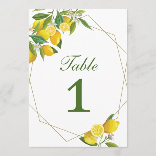 Citroen Hoofdknijplijst Aantal Kaart (Voorkant)