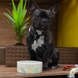 Citroen/Limoen Citrus Retro Hond/Kattenbak Voerbakje