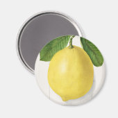 citroen magneet (Voorkant / Achterkant)