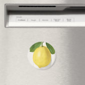 citroen magneet (Insitu (Vaatwasser))