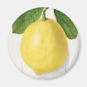  citroen magneet (Voorkant)