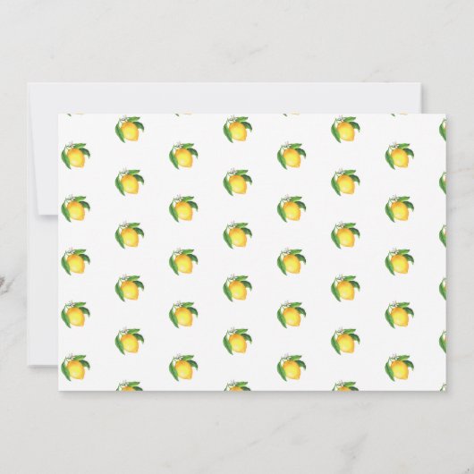 Citroen onze belangrijkste knijpfoto Geboorte Aankondiging (Achterkant)