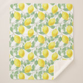 Citroen Sherpa Deken (Voorkant)