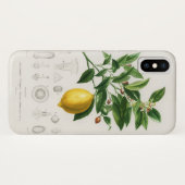 Citroen Sinaasvrucht Botanische Limonium Illustrat Case-Mate iPhone Case (Achterkant (horizontaal))