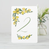 Citroen Tafel Nummer 2 Kaart (Staand voorkant)