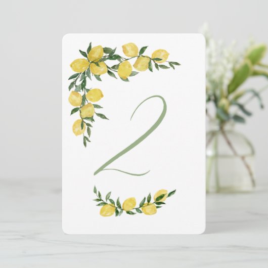 Citroen Tafel Nummer 2 Kaart (Staand voorkant)