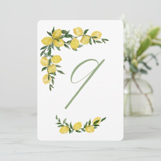 Citroen Tafel Nummer Negen Kaart (Staand voorkant)