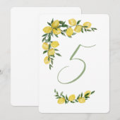 Citroen Tafel Nummer Vijf Kaart (Voorkant / Achterkant)