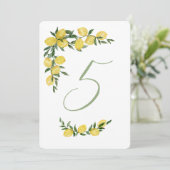 Citroen Tafel Nummer Vijf Kaart (Staand voorkant)