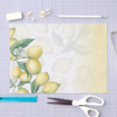 Citroen Takken Wit & Geel Landelijk Rustiek Tissuepapier (Craft)