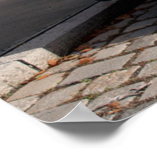 Citroen Type H Van Poster (Hoek)