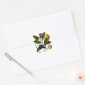 Citroen Vierkante Sticker (Envelop)