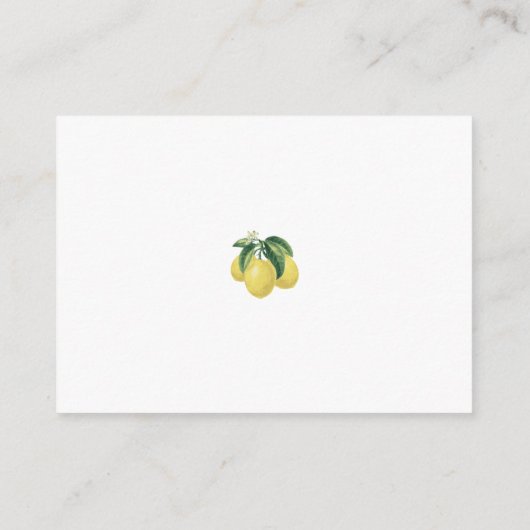 Citroen vlinder Baby shower luier Raffle Informatiekaartje (Achterkant)