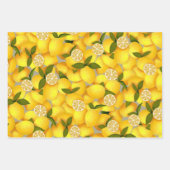 Citroen Vol Inpakpapier Vel (Voorkant 3)