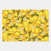 Citroen Vol Inpakpapier Vel (Voorkant 2)