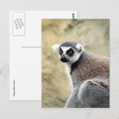 citroenblik briefkaart (Voorkant / Achterkant)