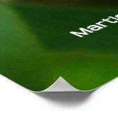 Citroenbloesembij (5) poster (Hoek)