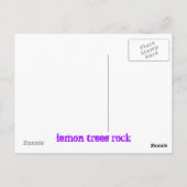 citroenbomen briefkaart (Achterkant)