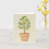 Citroenboom blanco kaart (Gele Bloem)