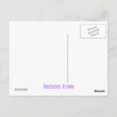 citroenboom briefkaart (Achterkant)