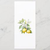 Citroenen bloemig Menu (Achterkant)