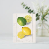 Citroenen (Citrus Limon) Waterverf van fruit Briefkaart (Staand voorkant)