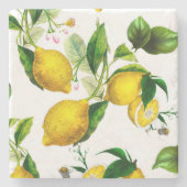 Citroenen, citrusvruchten, mediterrane kunst stenen onderzetter (Voorkant)