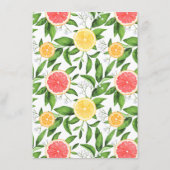 Citroenen en grapefruitstukken voor bruin en bruin informatiekaartje (Achterkant)