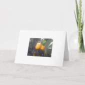 Citroenen? Kaart (Voorkant)