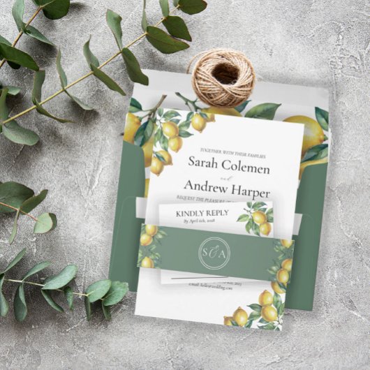 Citroenen Mediterraan Siciliaanse bestemming Trouw Kaart