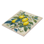 Citroenen Mediterraan Zomer Citrus Tegeltje (Zijkant)