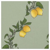 citroenen met bladeren van bladeren stof (Close Up)