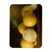 citroenen op hout magneet (Verticaal)