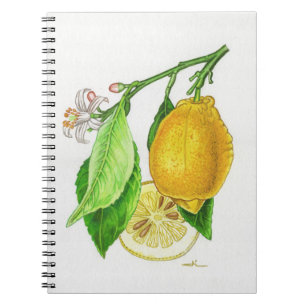 Citroenen schetsboek met spiraal “Limonier ferrari Notitieboek