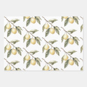 Citroenen Sicilië Rustic Brown Stripes Verjaardag Inpakpapier Vel (Voorkant 3)