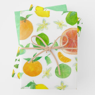 Citroenen Sinaasappel Grapefruit Citrus Limoen Gro Inpakpapier Vel