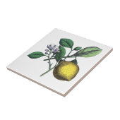 Citroenen, vruchten en bloemen tegeltje (Zijkant)