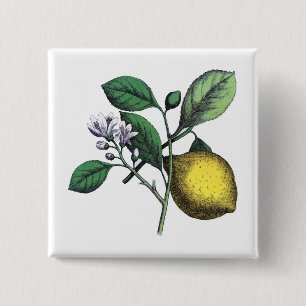 Citroenen, vruchten en bloemen vierkante button 5,1 cm
