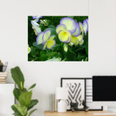 Citroengeel Pansies Poster (Thuiskantoor)