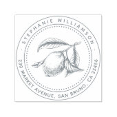 Citroenillustratie Aangepaste naam & Terugkeeradre Zelfinktende Stempel (Design)