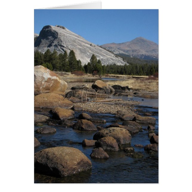 citroenkoepel en rotsen (Voorkant)