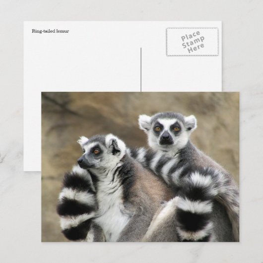 citroenkoppel briefkaart (Voorkant / Achterkant)